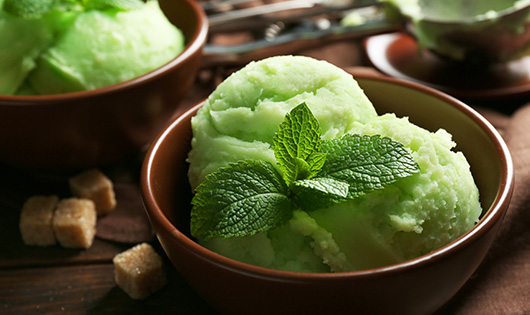 Dicas de verão - Gelado de Hortelã